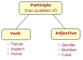 participle vs verb and adjective