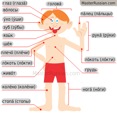 Russian Bicycle Glossary Part 31